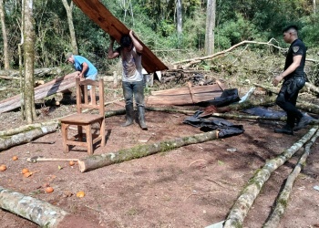 Una familia dejó una chacra de Campo Ramón tras una denuncia por usurpación y tala de árboles nativos
