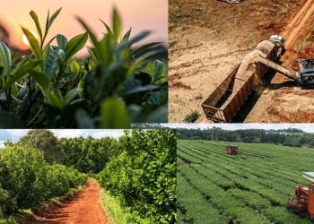 El Presupuesto 2027 advierte la pérdida de competitividad del agro