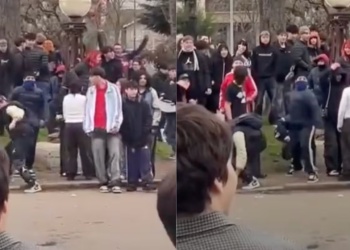 Mar del Plata: se juntaron a “farmear aura” en una plaza y los corrieron a piedrazos