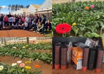 Del tabaco a las flores: 20 familias misioneras apuestan a la floricultura para diversificar sus ingresos