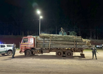 Sorprendieron a un hombre cuando extraía 20 rollos de madera nativa en Dos de Mayo
