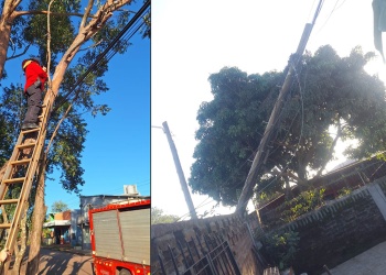 Cables eléctricos caídos generaron peligro en una calle de Garupá