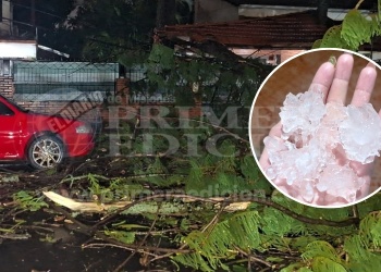 La tormenta de Santa Rosa hizo madrugar a los posadeños: lluvia, granizo y árboles caídos