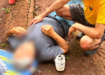 Garupá: terminó hospitalizado tras caer de un árbol mientras sacaba paltas