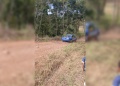 Rally: el dueño de casa manda en Alem