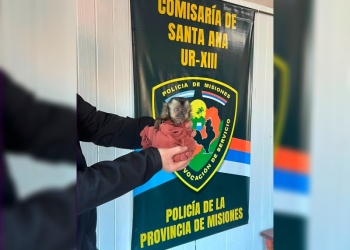 Rescataron una cría de mono caí que apareció en una vivienda de Santa Ana