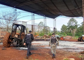 Investigan incendio intencional en una maderera de Colonia Delicia