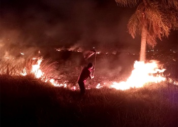 Incendios: advierten que “el pasto está verde, pero el suelo sigue seco”