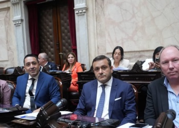 Diputados misioneros en el Congreso tendrán nuevo bloque y se alinean con Passalacqua