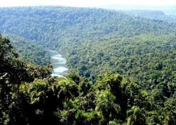 Semana clave para los misioneros: se debate la extranjerización de la tierra