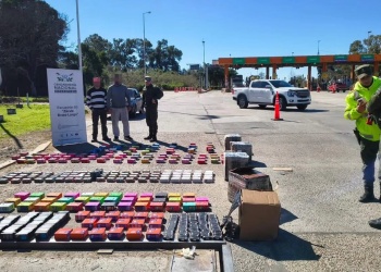“La resina viva. Mezcla mágica de hongos”: la insólita carga que salió de Misiones y fue secuestrada en Zárate