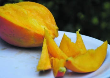 ¿Cómo evitar que el fin de año te agarre sin un mango?