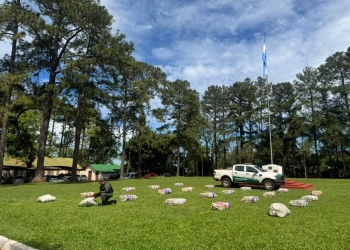 Misiones: hallaron 800 kilos de marihuana ocultos junto al Paraná