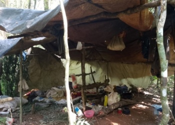 Desmantelan campamento de cazadores furtivos en la Reserva de la Biosfera Yabotí
