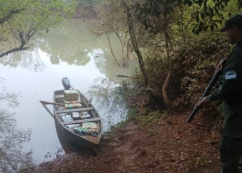 Hallaron casi 400 kilos de marihuana en una canoa en Alba Posse