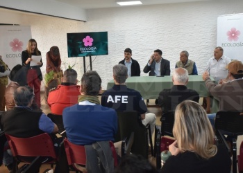 Alerta Temprana: Misiones refuerza el monitoreo ante un período de tormentas más intensas