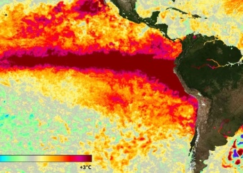 La ONU alertó que El Niño será “muy fuerte” y podría extenderse hasta febrero de 2027
