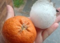 Fuerte tormenta de granizo golpeó a Córdoba y causó daños en viviendas