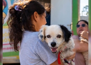 Posadas: El IMuSA sigue con sus operativos de atención veterinaria en los barrios