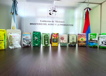 Nueva Zelanda, el nuevo destino de 14 marcas misioneras de yerba mate