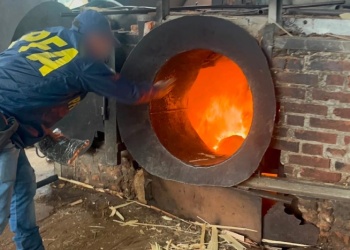 La Policía Federal incineró casi una tonelada de marihuana incautada en Misiones