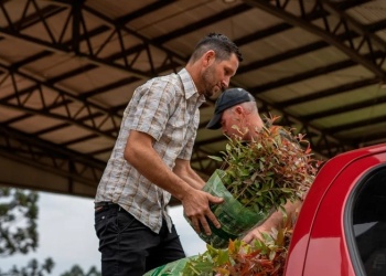 Misiones avanza rumbo hacia a una nueva etapa del Plan de Leña Renovable