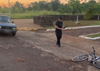 Insólito: Un automovilista habría sido atacado por abejas, perdió el control y atropelló a un ciclista