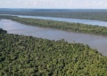 El Puente Verde sumó 158  hectáreas para preservar la selva