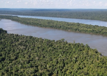 El Puente Verde sumó 158  hectáreas para preservar la selva