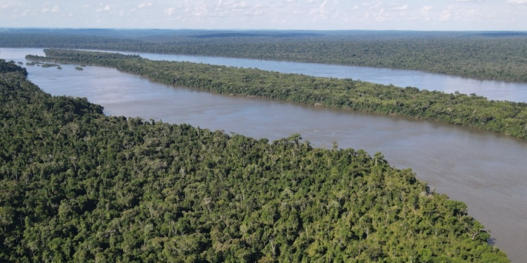 CLAVE. Ampliar la Reserva El Puente Verde representa una de las grandes acciones en materia de conservación.