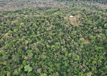 Ecología avanza en el estudio de impacto ambiental en la Reserva VGM Fernández