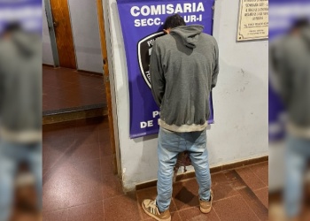 Se trepó a un árbol para escapar de la Policía: estaba prófugo
