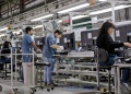 Qué sectores crecieron y cuáles perdieron empleo durante la gestión de Milei
