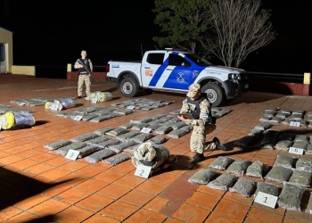 Secuestraron más de 400 kilos de marihuana en dos operativos en Iguazú y Candelaria