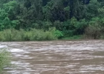 Por la crecida del arroyo Yabotí, cerraron el acceso al Parque Provincial Moconá