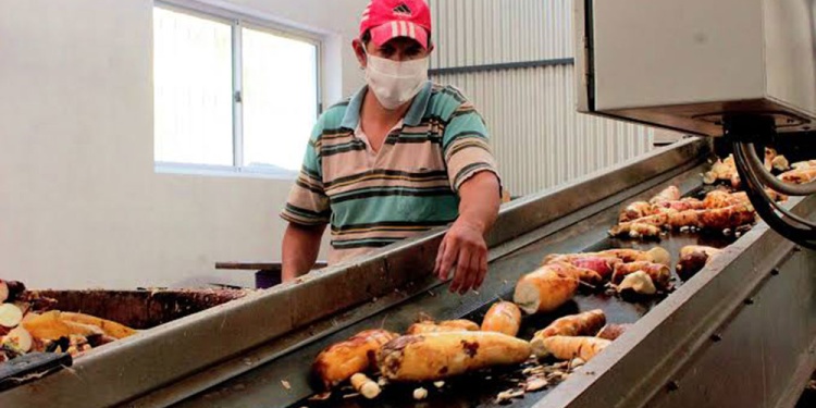 ALIMENTOS. Es el principal rubro de la industria misionera, pero se encuentra afectado por la economía.