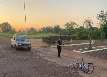 Identificaron al hombre atacado por abejas en Oberá gracias al análisis de su celular