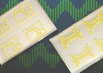 Ingenieros del MIT construyen  impresos vivos a partir de bacterias