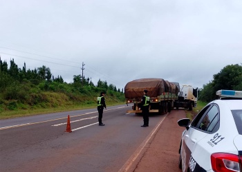 Un camión quedó varado sobre la ruta 12 y complica la circulación