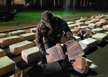 Gendarmería incautó más de una tonelada y media de marihuana en San José