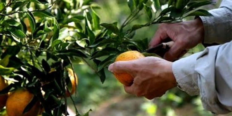 CRISIS. Hay dificultades en industrias, consumo interno y comercio exterior.