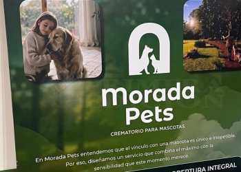Parte de la familia: crecen las consultas por cremaciones de mascotas en Misiones