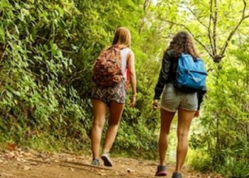 El poder del verde: la naturaleza nos invita a ir a nosotros