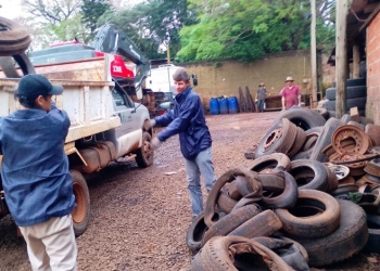 Más de 8.500 cubiertas retiradas para evitar criaderos de Aedes