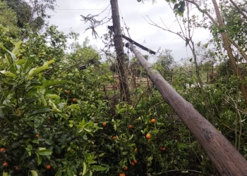 El temporal derribó postes y dejó con servicio eléctrico limitado a localidades del Norte de Misiones