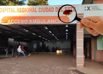 Cierran el sector Neo del hospital de Ciudad del Este por invasión de pulgas