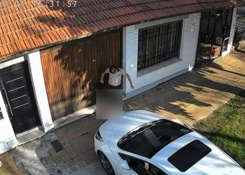 Maltrato animal: un adolescente atacó brutalmente a un gato y quedó filmado