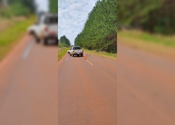 Choque frontal en la ruta 103 dejó varios heridos cerca de Campo Ramón