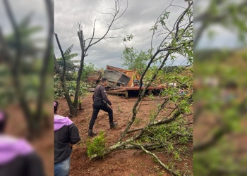 Confirman que el fenómeno registrado en el norte de Misiones fue un tornado
