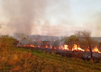 Incendio en Campo San Juan: combaten las llamas con brigadistas, Bomberos y un avión hidrante